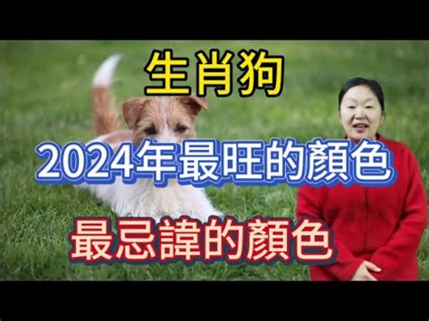 2023 狗 顏色|【2023屬狗幸運色】2023狗年不可錯過的旺運指南：。